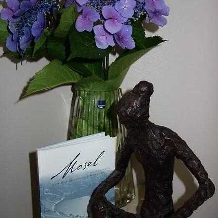 Belle Vue Apartamento Bernkastel-Kues